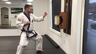 Tang Soo Do Reverse Punch