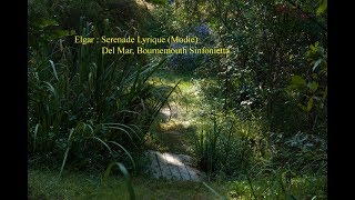 Elgar : Serenade Lyrique (Modie)