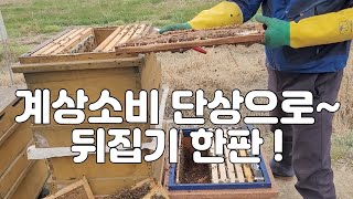 계상에서 찍은 깨끗한 새 소비에 최대산란받기 (분봉열 감소)