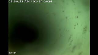 Faye Joyce 4620 S Landess 1 Video