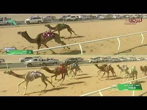 ش3 الشايقة ل ناصر سالم علي الهمامي كأس الإتحاد السعودي 4 10 2024م كأس الثنايا بكار عام 9 45 78