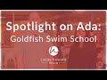 Spotlight on Ada: Goldfish Swim School