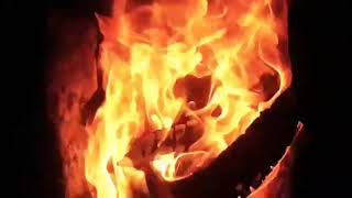 1 Hour of Crackling Fireplace 🔥 | Perfect for Sleep, Meditation, or Focus | screenshot 5
