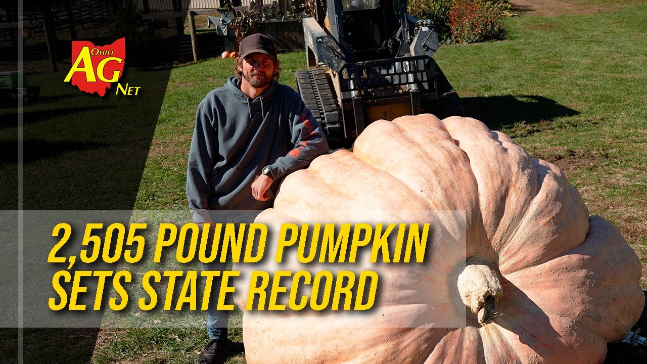 Ohio farmer grows record-breaking 2,505 lb. pumpkin – Ohio Ag Net