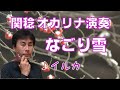 なごり雪(オカリナ演奏)関稔