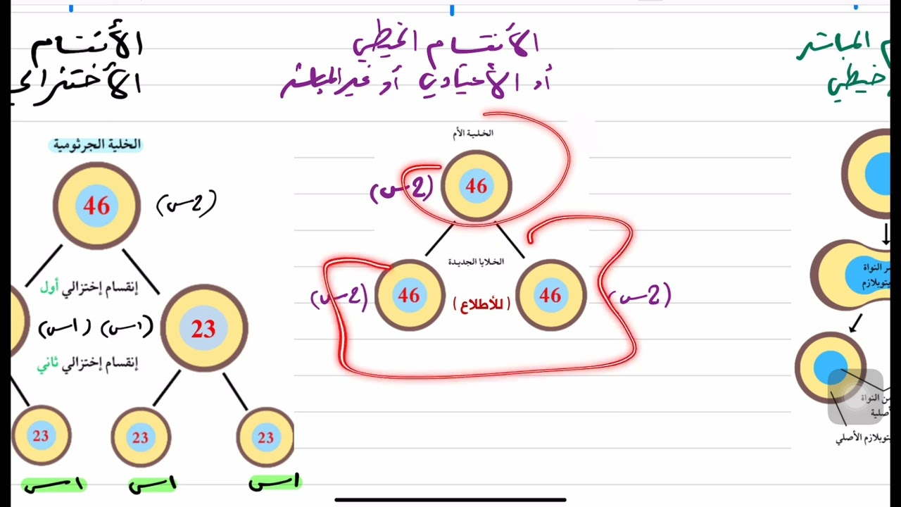 أساس الفصل الثالث 2024
