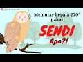 Arah Gerakan Yang Dilakukan Sendi P Adalah