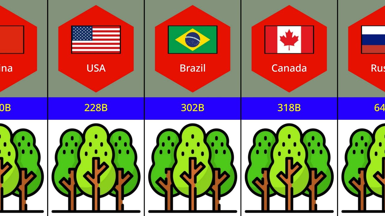 Countries With Highest Trees - YouTube