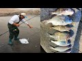#109 Pesca a spinning y carnada Campamento dia 3