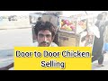 How to sale desi Misri chicks | Live chicken selling business |