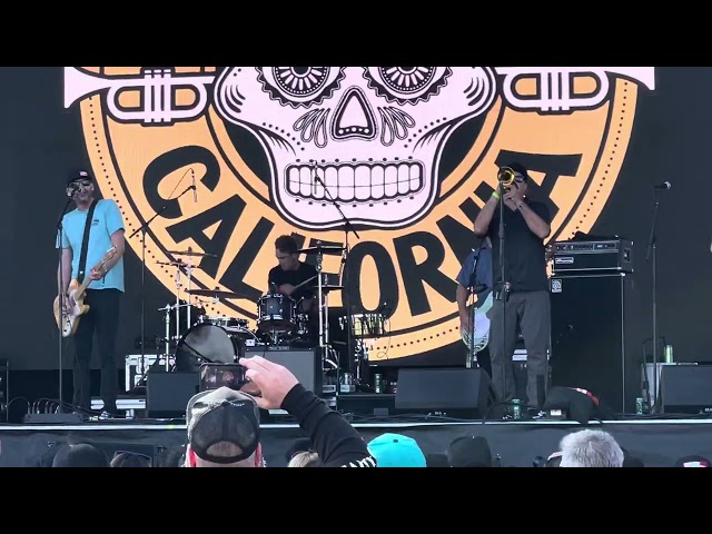 Mad Caddies - She (Green Day cover) @ Cali Vibes Festival 2024