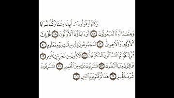 سورة الواقعة 5 القسم الخامس تكرار كيفي من .. وكانوا يقولون أئذا متنا وكنا ترابا .. إلى .. يوم الدين