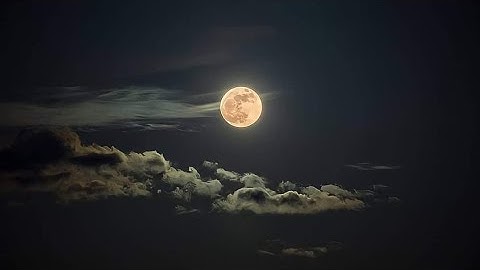 تلاوة خاشعة من سورة الحشر بصوت الشيخ ماجد احمد