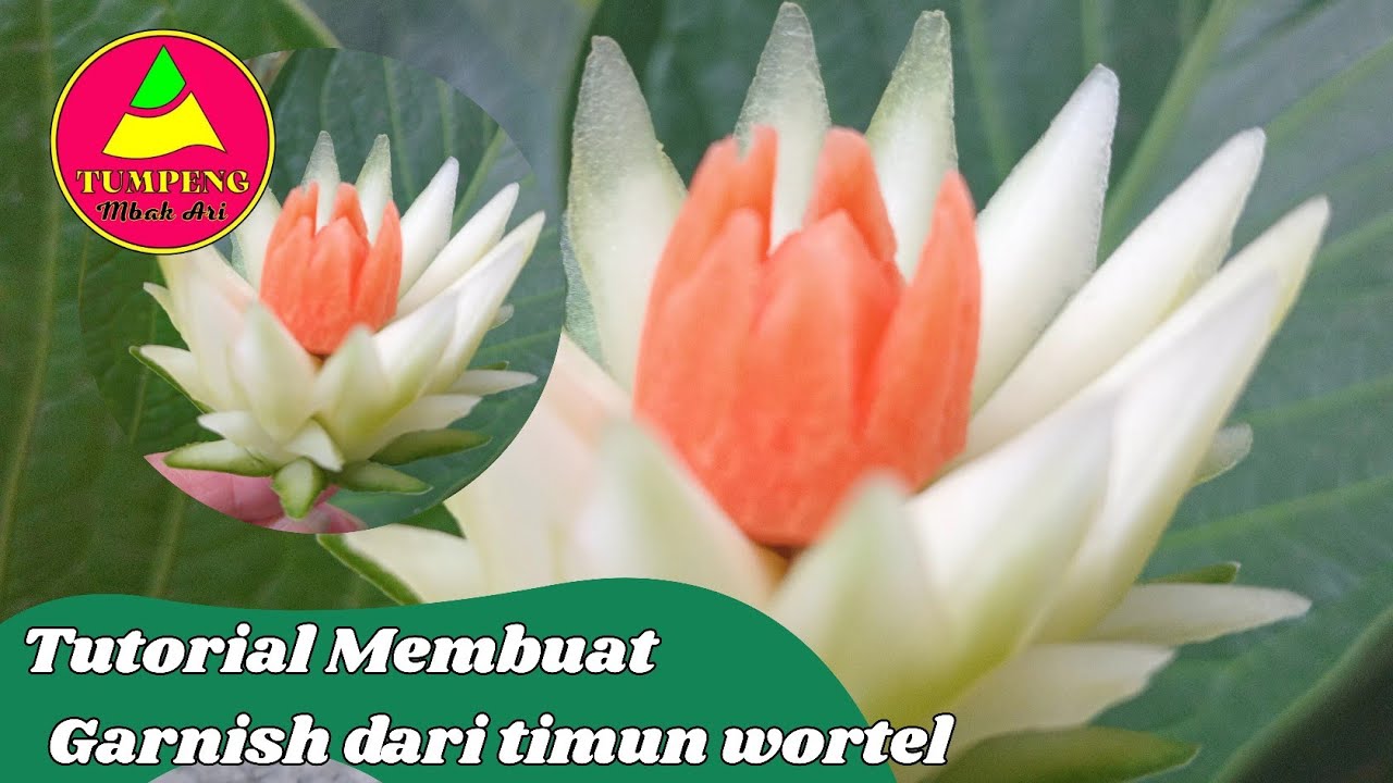 TUTORIAL GARNISH DARI TIMUN 