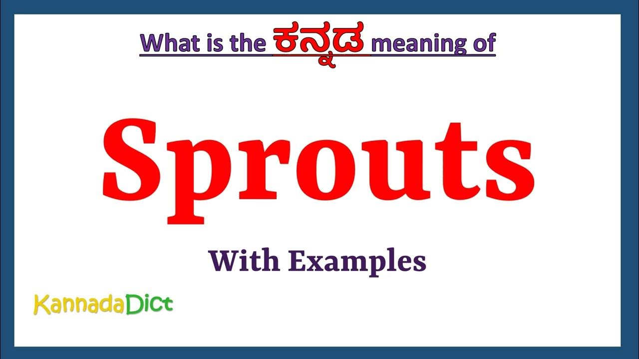 sprouts-meaning-in-kannada-sprouts-in-kannada-sprouts-in-kannada