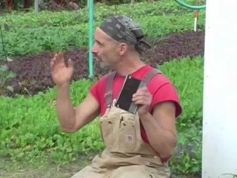 Part 1 The Cardboard Method For No Till Farms And Gardens Youtube