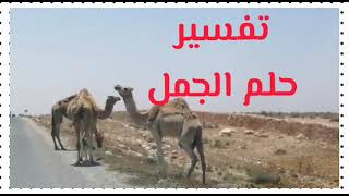 تفسير حلم الجمل معنى الجمل في المنام