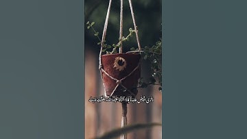فإذا أنزلنا عليها الماء اهتزت وربت، تلاوة خاشعة ،دعوة