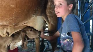 Isted Milking With Two Helpers Part Two