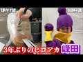 3年ぶりに作る峰田のマスク！ヒロアカのコスパフォまでに間に合うのか？