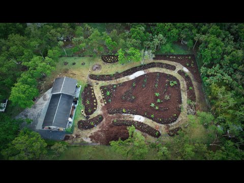 2-Acre Tropical Food Forest Project: Start to Finish