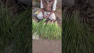 My Vlog Video Workout Indian Girl Priya Village Videos