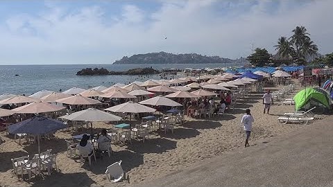 US measles cases reach 33-year record high