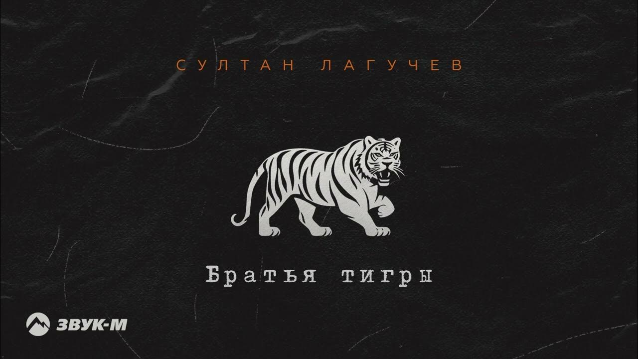 Мой братан тигр 24 на 7 тигр. 24/7 тигр. Л ван мой братан тигр. L'one тигр. L'one тигр.