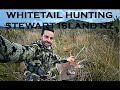 Whitetail Hunting Stewart Island NZ Over 40 Deer Seen!!!