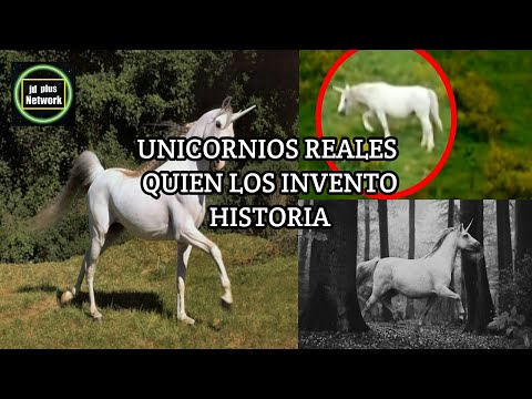 Vídeo: ¿Una Encarnación Viviente De Un Unicornio? - Vista Alternativa