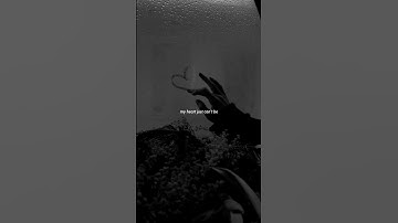 Thumbnail of Cry - Cigarettes After Sex (Lyrics) | "My heart just can't be faithful for long" | Aesthetic #cry