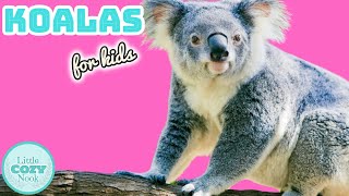 Koalas for Kids | Animal Science for Kids 🐨🌳 by Little Cozy Nook 1,131 views 2 months ago 2 minutes, 25 seconds