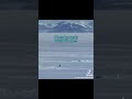 But WHY? #fyp #penguin #mountains #gaming #why