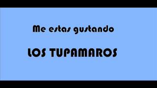 Miniatura de "Me estas gustando -  Los Tupamaros"