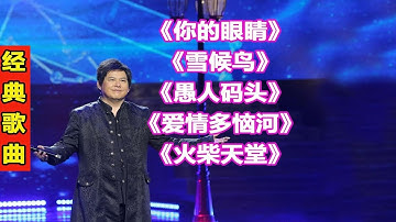 熊天平情歌经典歌曲168你的眼睛雪候鸟愚人码头爱情多恼河火柴天堂