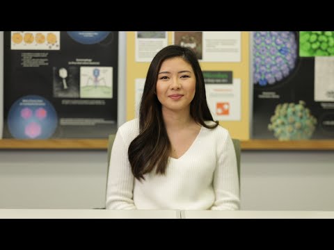 Germs and Viruses