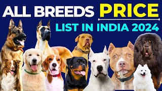 All Dog Breeds And Their Price 2024 | German Shepherd | Rottweiler | Labrador | Pug | Beagle | Husky by Vaibhav Dog's World 15,671 views 3 months ago 3 minutes, 46 seconds