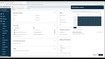Commvault V11 - Setting Blackout Windows