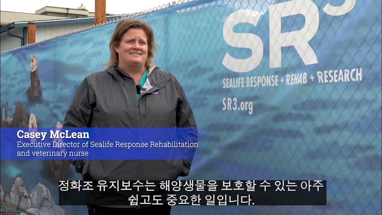 poverty-bay-septic-system-rebate-program-korean-youtube