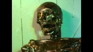 talking skull_0001.wmv