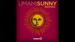 Umami - Sunny (U So Witty Remix) [Cover Art]