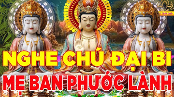 Nghe Kinh Chú Đại Bi 49 Biến Mỗi Ngày Tiêu Tan Bệnh Tật Cầu Được Ước Thấy Bình An May Mắn