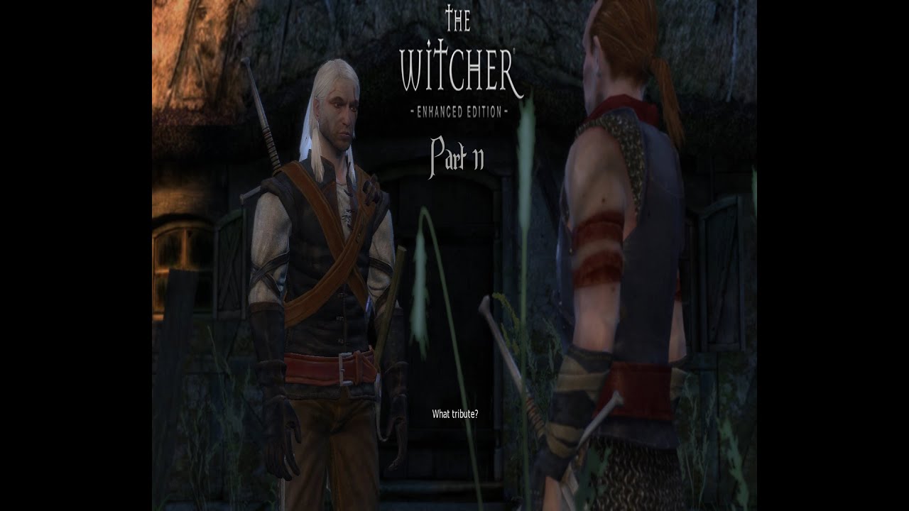 The Witcher (Part 11) - YouTube