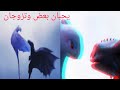 فلم تنانين فرسان قرية بيرك الجزء الثالث زواج ابو سن وزواج حازوقه من استرة