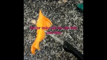 Cắt tỉa căn bản con tôm