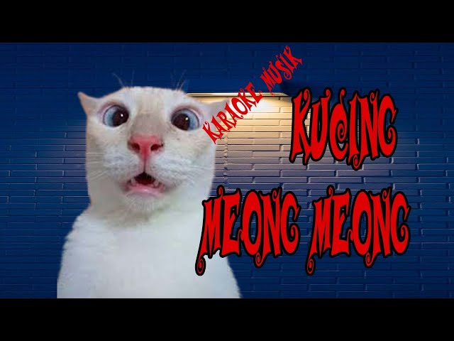 KUCING MEONG MEONG (KARAOKE)- LAGU ANAK POPULER class=