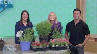 Live’s Go Green Week: Gardening 101 With Stacy Ling