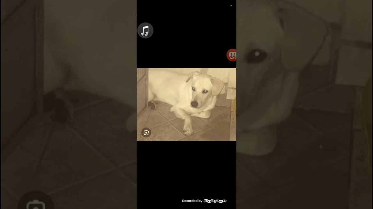 Um a um a um a um a um a  um 