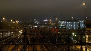 Negative - Gucci Gucci