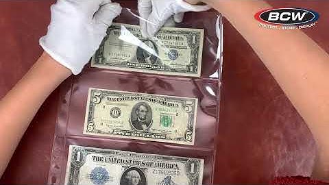 BCW PRO 3-Pocket Currency Pages